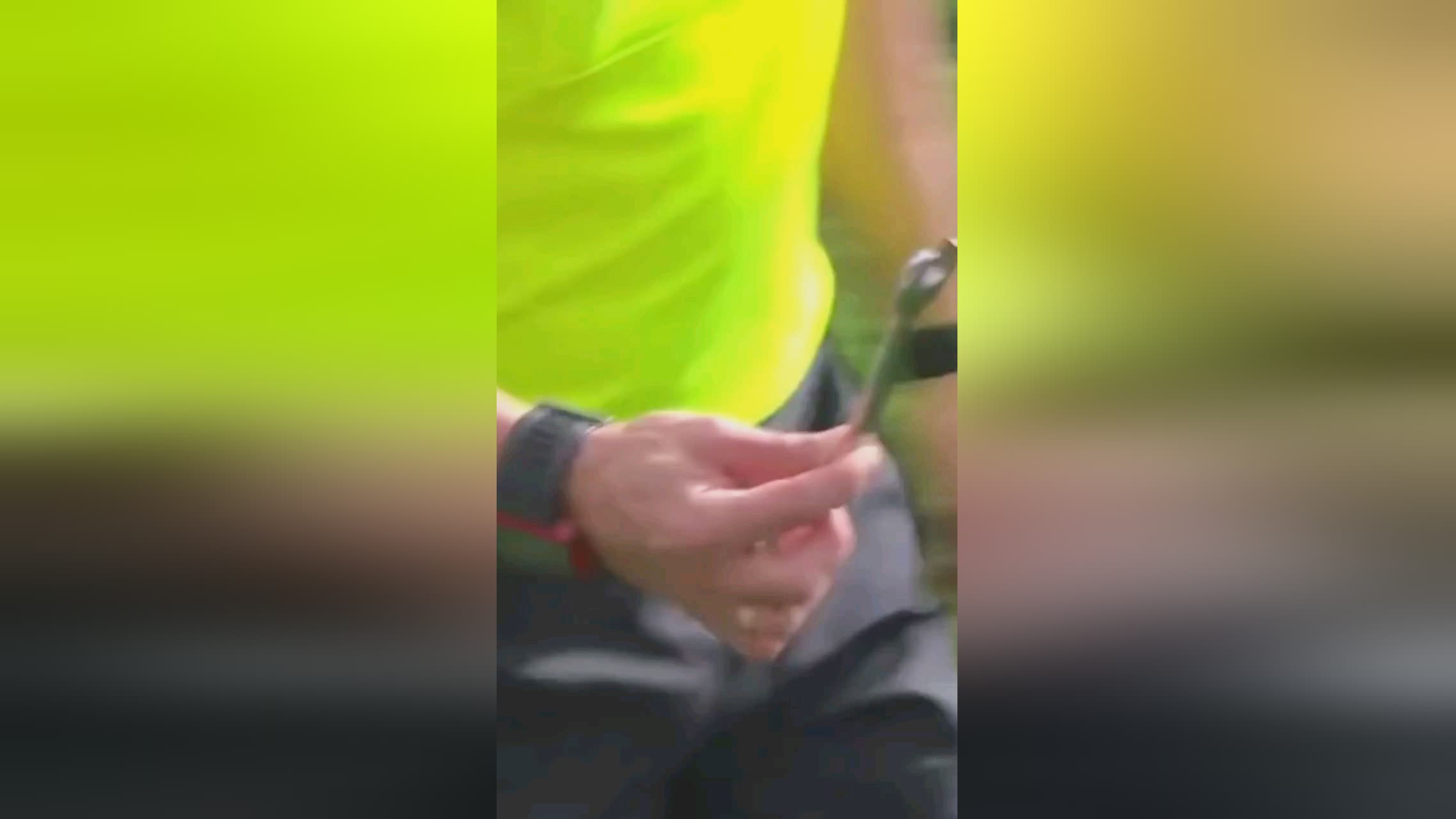 性的队伍