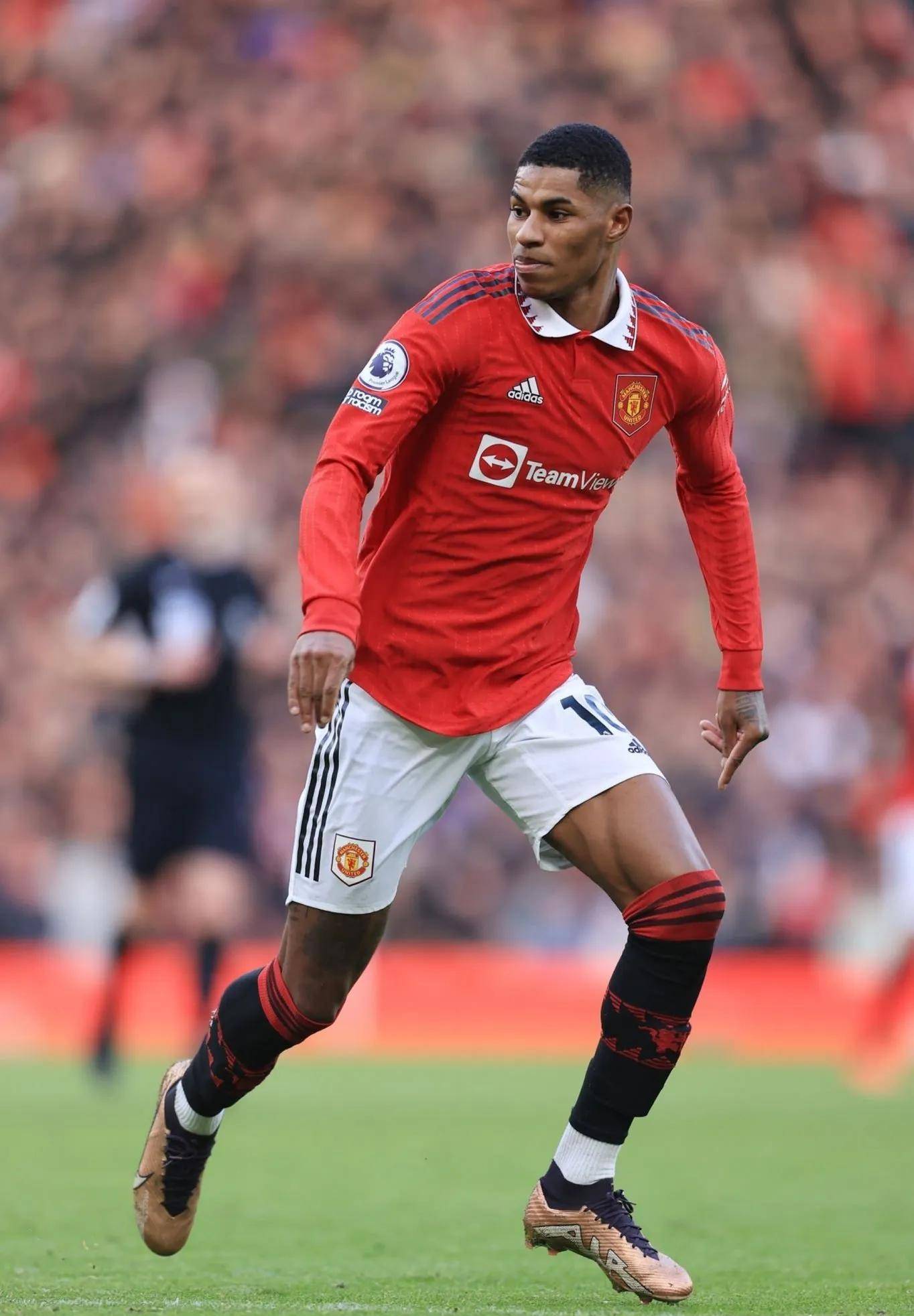 视其背后的 视其背后的